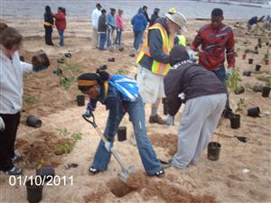 Ben Franklin High Schools students planting Bay Grasses