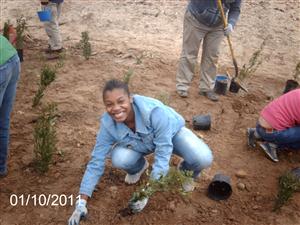 Ben Franklin High School students in Baltimore stabilize the Chesapeake By shoreline by planting Bay Grasses