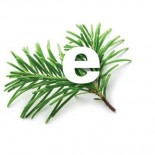 Check Out the Rest of PLT�s Family! <br> News about the American Forest Foundation is Now Online