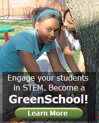 a student at the greenschool measures a tree
