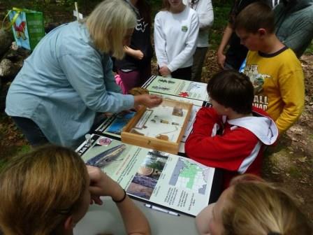 Students learn about invasive species