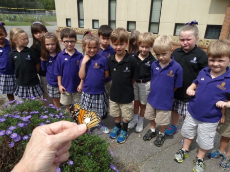 Lipscomb students release tagged monarch butterfly