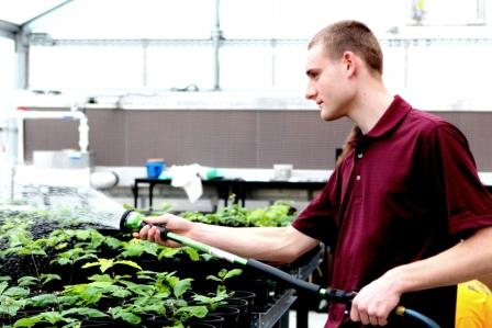 Carmichaels High School environmental science student Doug Kowalewski waters oak seedlings in the school's new greenhouse