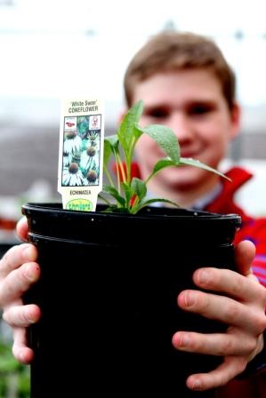 Carmichaels High School environmental science student Garrett Elek with a perennial