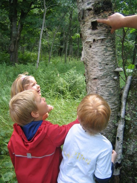 MN-Bay View Elementary School-Rob Marohn-kindergarten students explore birch tree