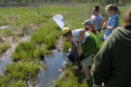 Students examining the wetlands