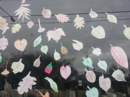 Leaf Rubbings in Library Window