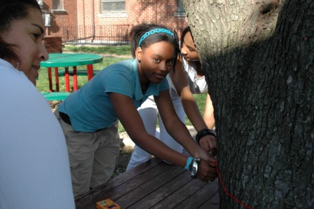 Girl measures tree dbh