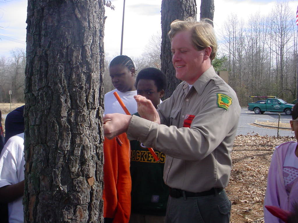 AR-Forestry Commission forester