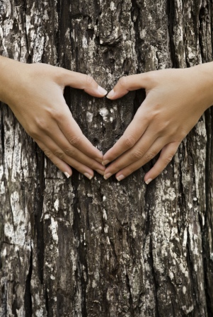 Hands on tree trunk