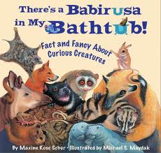 There's a Babirusa in my Bathtub