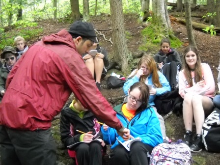 Students collect forest data