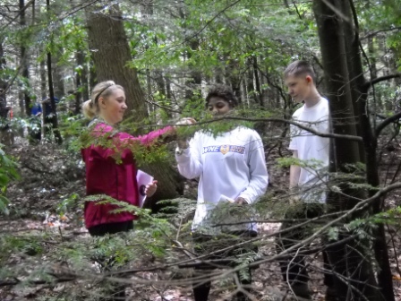 Students look for indicator species
