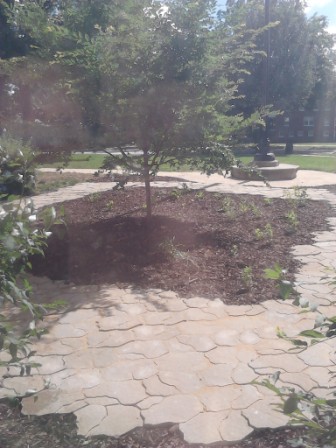 garden with stone walkway