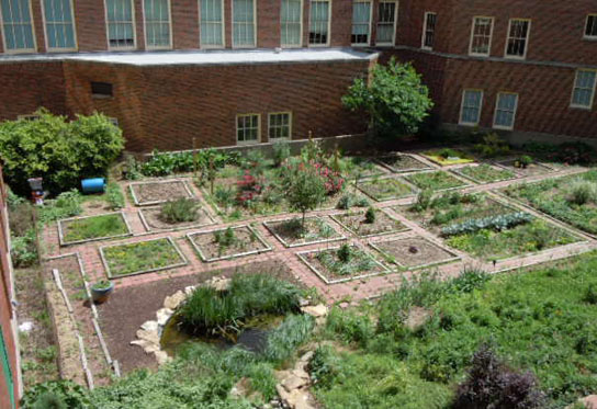 A high school courtyard has been turned into a verdant garden with 25 raised garden beds, a small pond, and concrete paths.