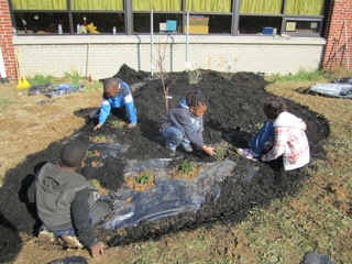 Student volunteers for initial planting