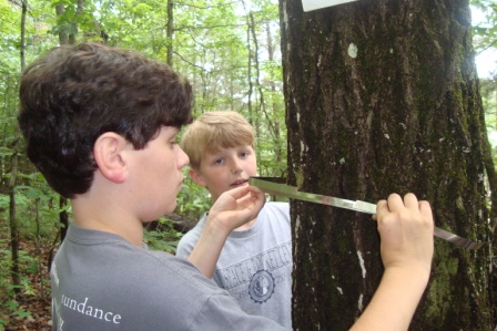 Gwin Elementary Tree Banding