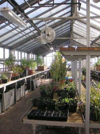 The greenhouse at McKinley Tech High School in Washington, DC