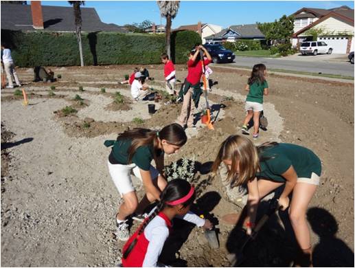 Students with teacher learning in the wetlands