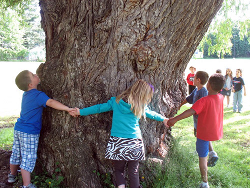 student holding hand in circle around tree