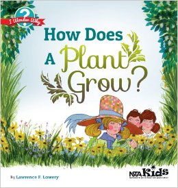 How Does A Plant Grow?