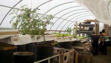 Students check the aquaponics system at Denver's Urban Farm