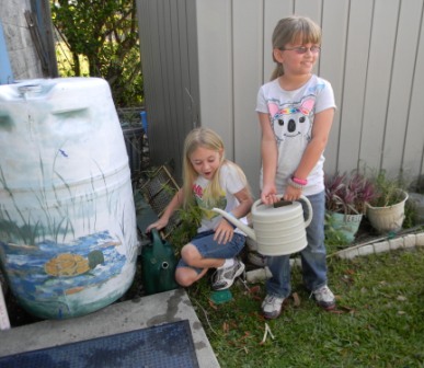 Students use rain barrels to water school gardens