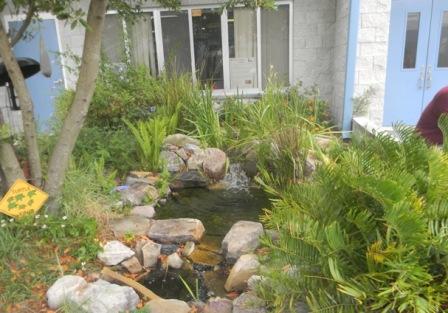 Turtle garden at St Paul Lutheran School in FL