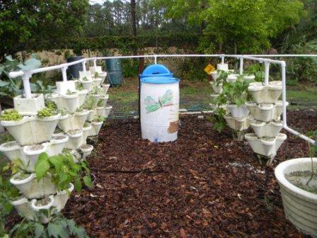 School gardens use hydroponics and drip irrigation