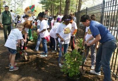 tree planting at yu ying