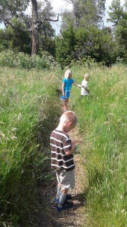 Children on a nature hike