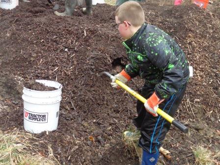 A boy spreads mulch