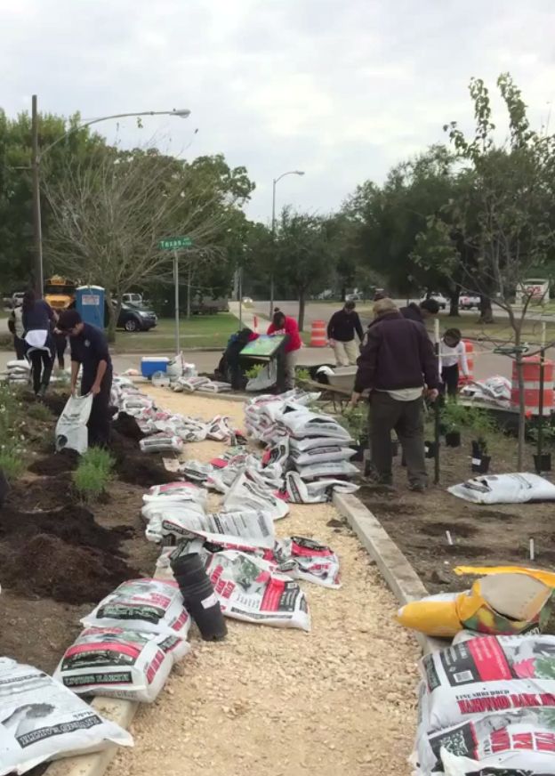 Furr High School Tree Planting Houston GreenBelt