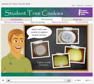 student tree cookie