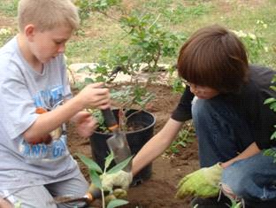 2-boys-planting-school-butterfly-garden