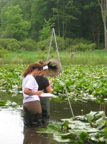 high-school-students-check-mallard-nesting-tubes-in-wetland