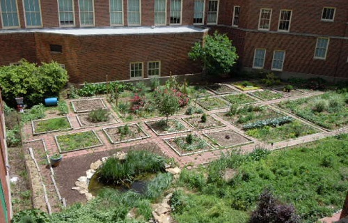 wyandotte-high-school-garden