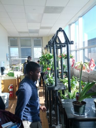 Boys in Greenhouse at Central High School, New Jersey