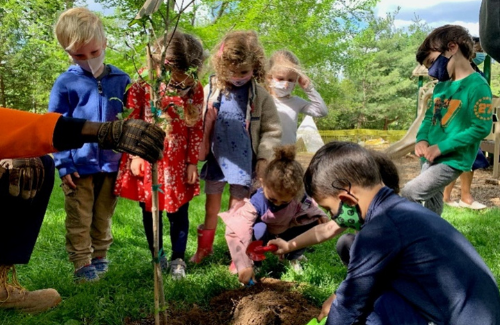children gather around a tree being planted