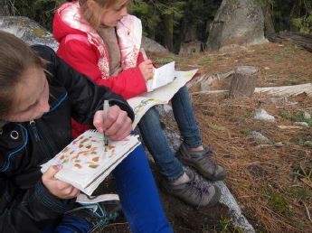 students-outdoors-drawing-nature-journal