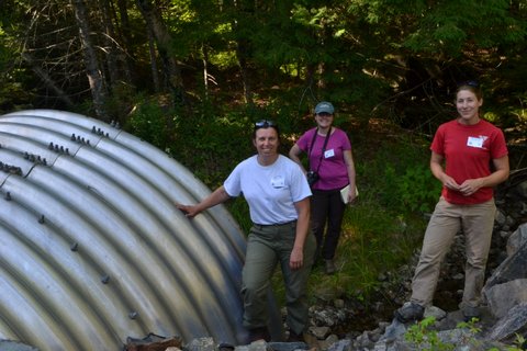 3-teachers-on-tour-in-forest