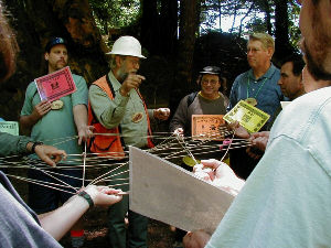 Teachers outside web of life activity