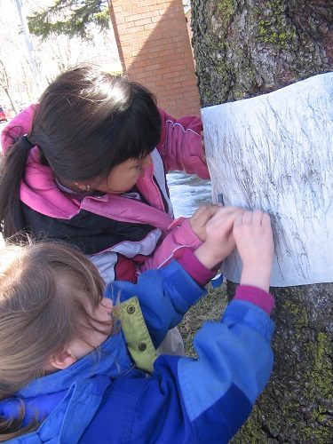 kids-make-bark-rubbing