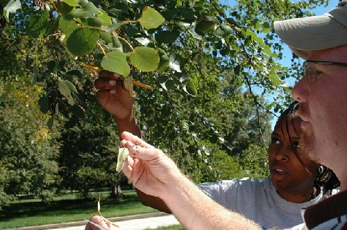 two-teachers-examine-leaves-on-a-tree