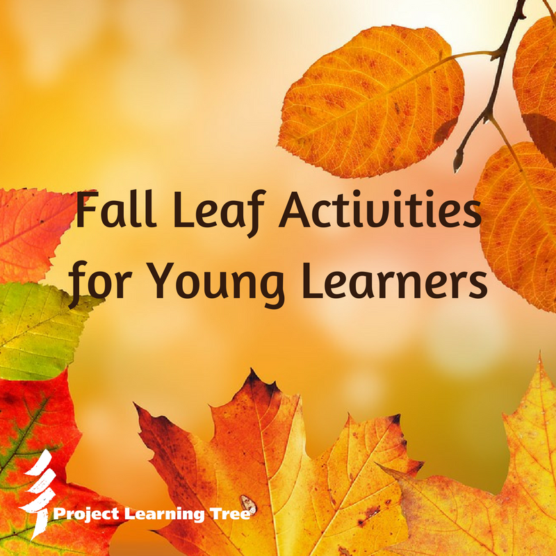 Leaf Activities for Young Learners - Project Learning Tree