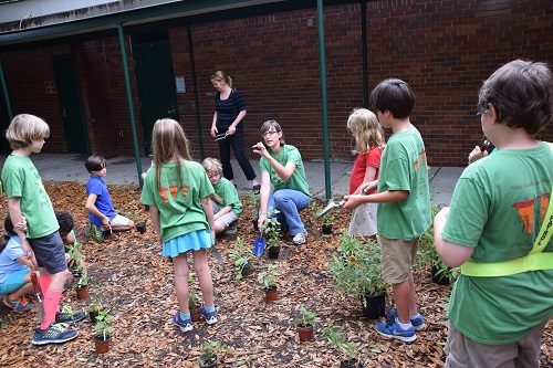 landscape-architect-shows-young-students-how-to-plant