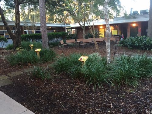 outdoor-classroom-with-tree-identification-signs