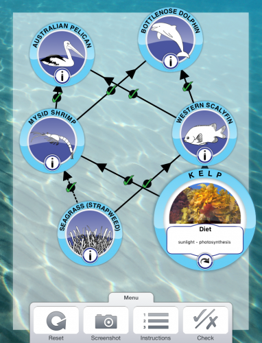 Food webs science game for elementary students