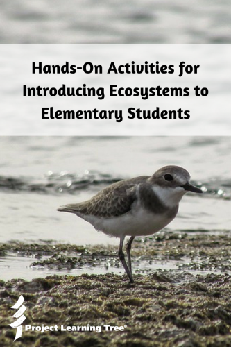 Hands-on activities for introducing ecosystems to elementary students