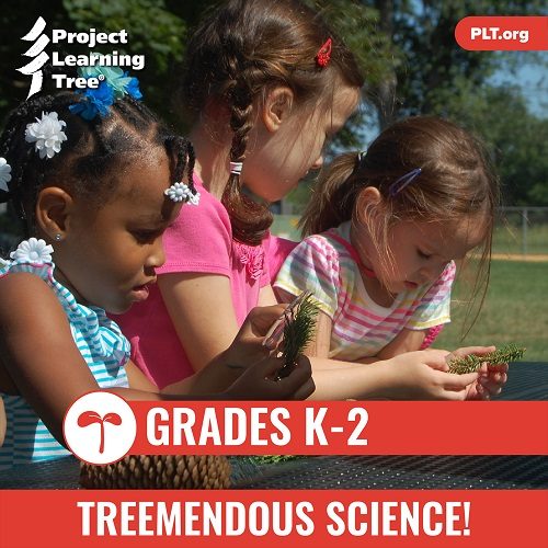 K-2-curriculum-Treemendous-Science